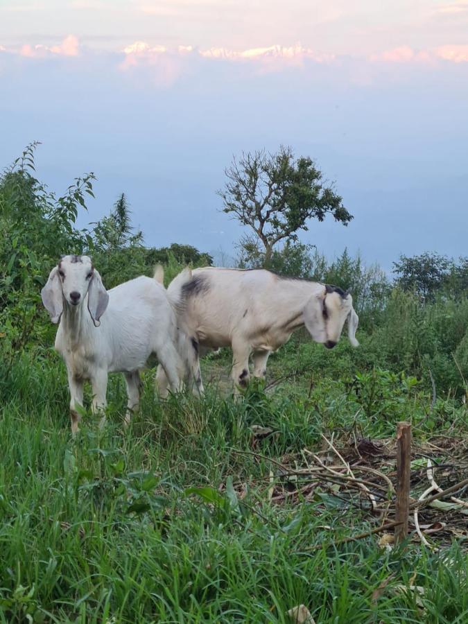 Nagarkot Trekkers Inn Exterior photo